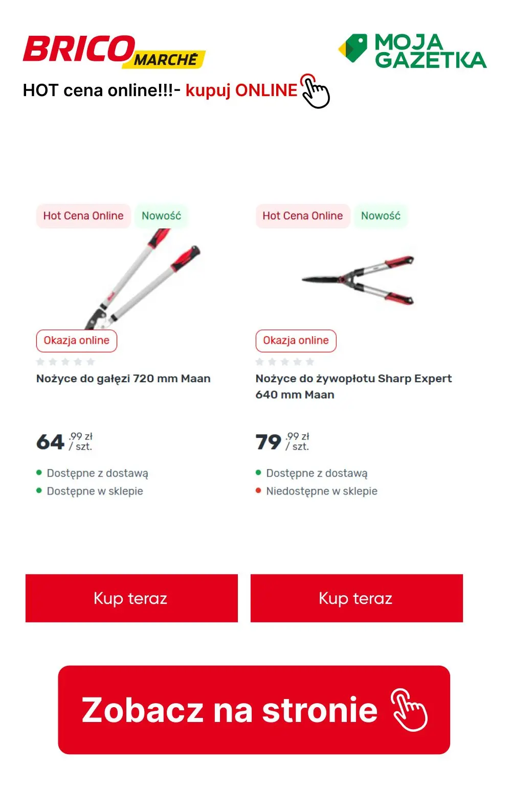 gazetka promocyjna BRICOMARCHE Hot cena ONLINE! - Strona 10