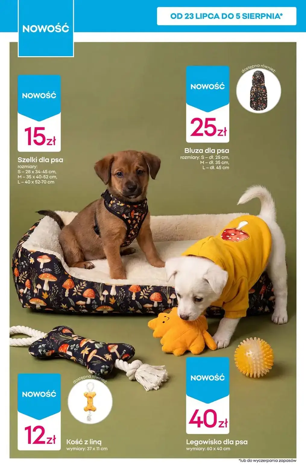 gazetka promocyjna PEPCO Hity tygodnia - Strona 14