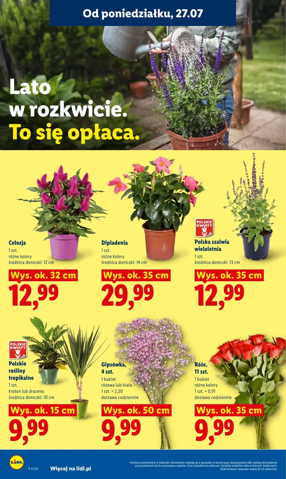 gazetka promocyjna LIDL Od poniedziałku - Strona 92