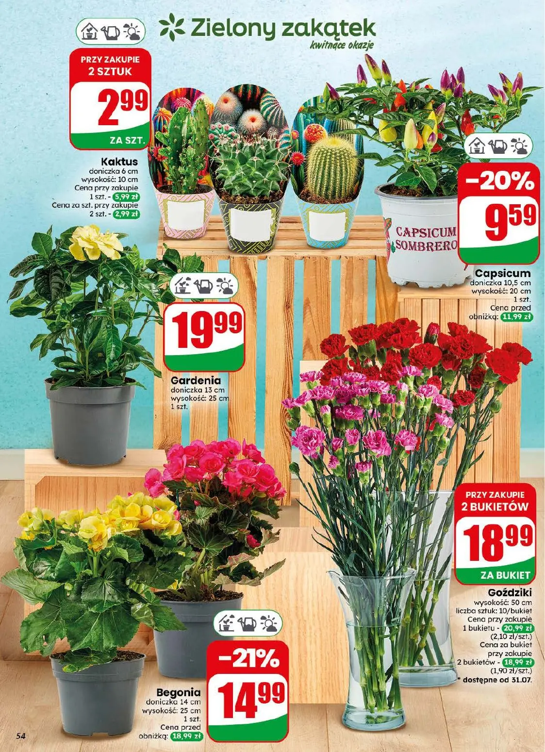 gazetka promocyjna dino Najbliżej Ciebie - Strona 54