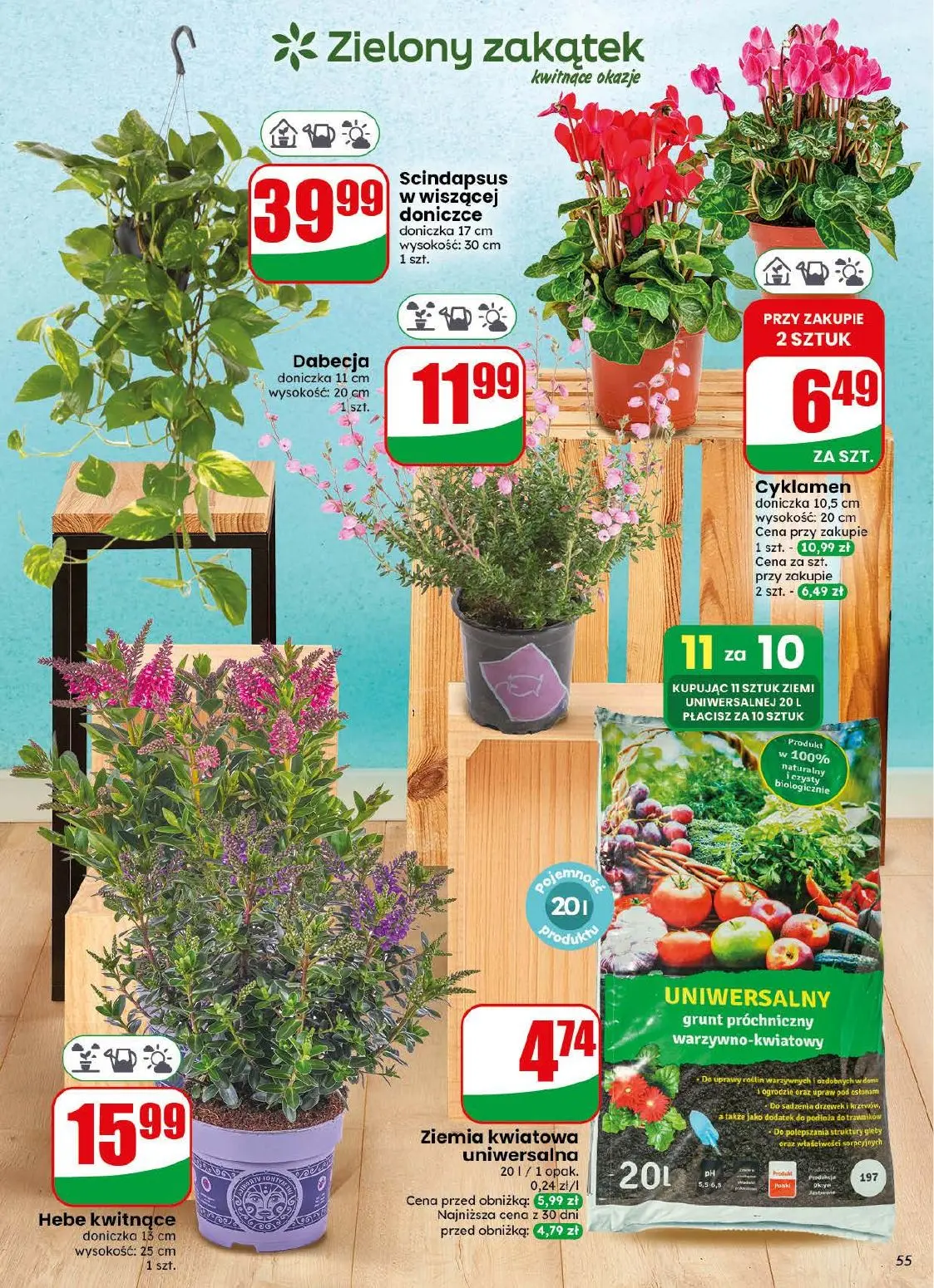 gazetka promocyjna dino Najbliżej Ciebie - Strona 55