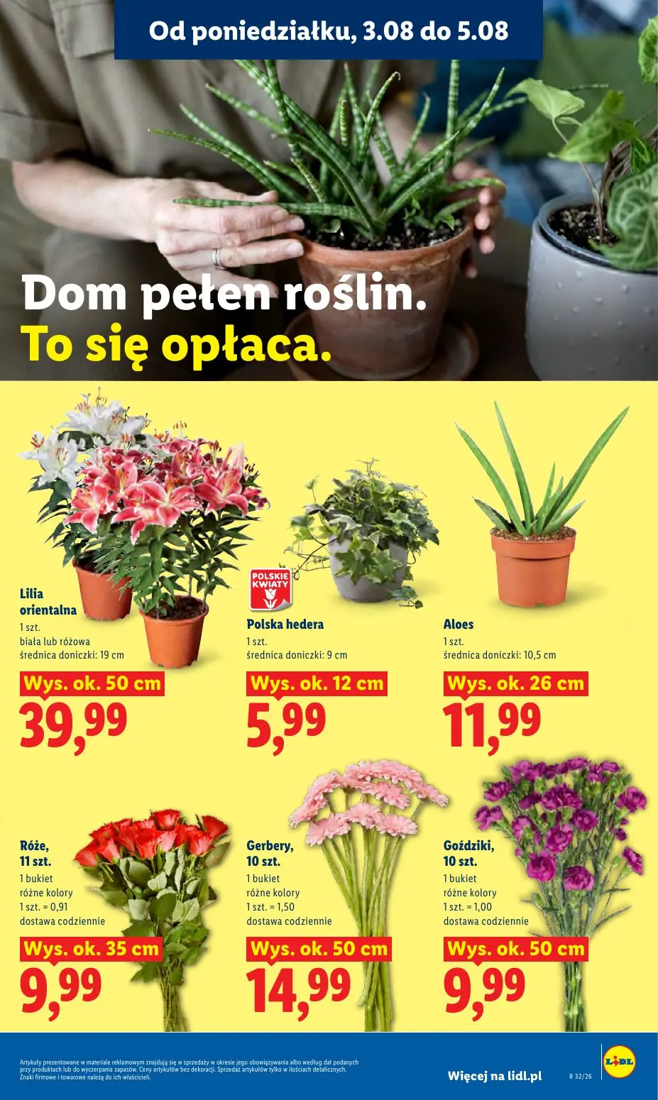 gazetka promocyjna LIDL Od poniedziałku - Strona 91