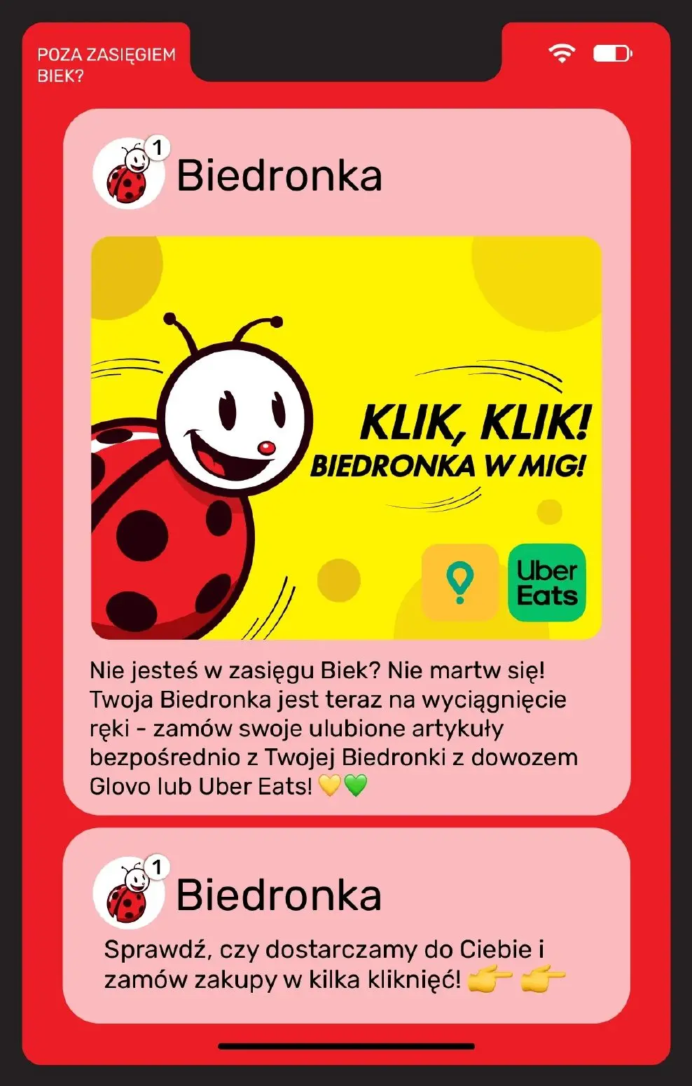 gazetka promocyjna Biedronka Biedronka Biek - Strona 13
