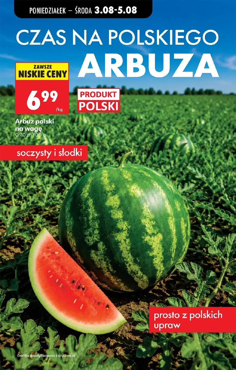 gazetka promocyjna Biedronka Lada tradycyjna. Od poniedziałku - Strona 23