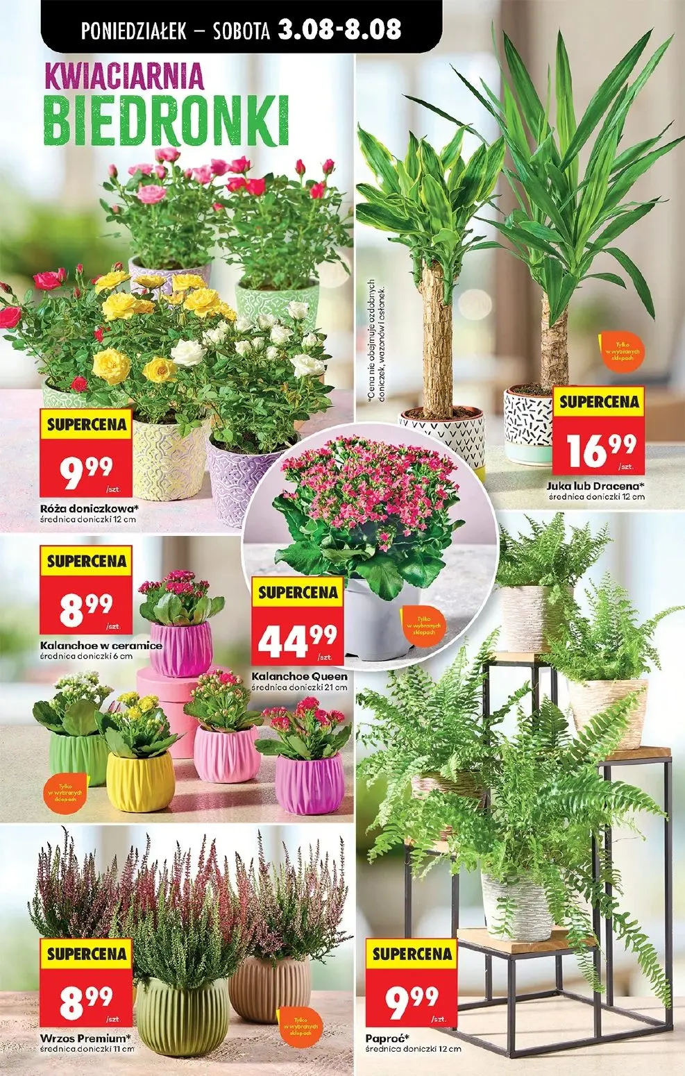 gazetka promocyjna Biedronka Lada tradycyjna. Od poniedziałku - Strona 37