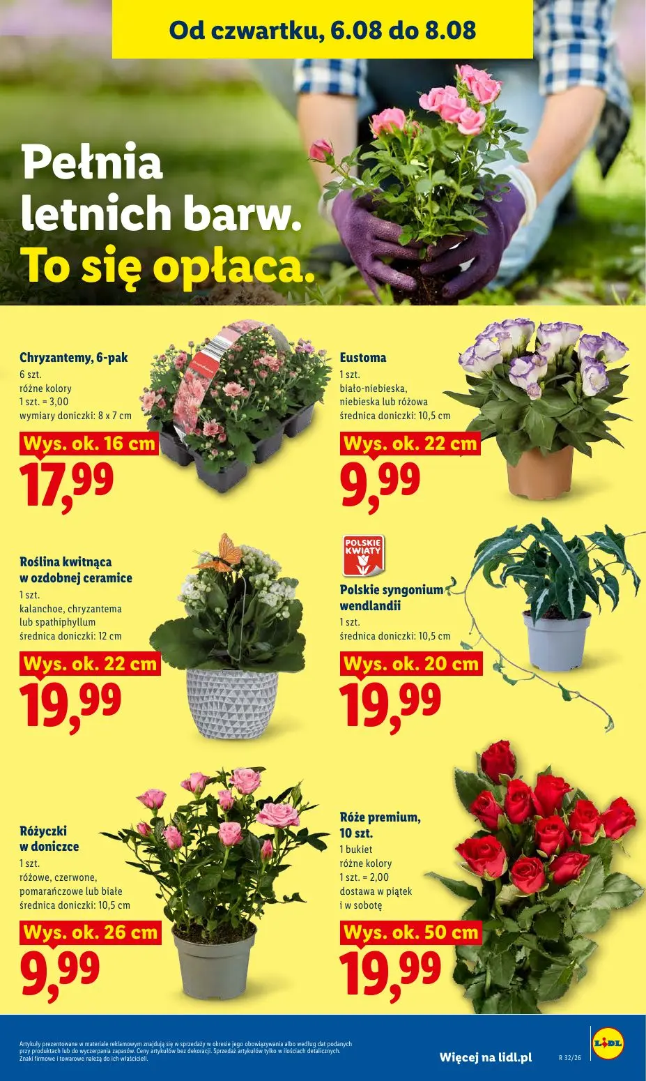 gazetka promocyjna LIDL Od czwartku - Strona 87