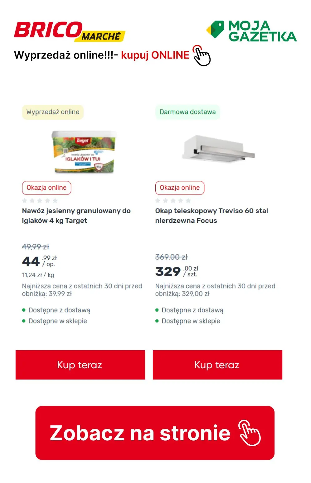 gazetka promocyjna BRICOMARCHE Wyprzedaż Online! - Strona 12