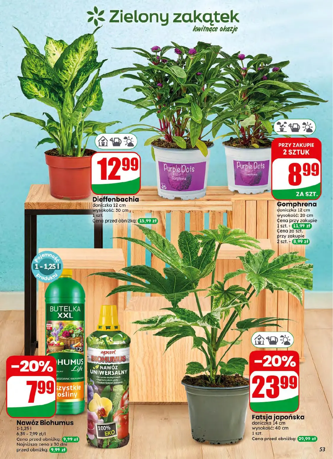 gazetka promocyjna dino Najbliżej Ciebie - Strona 53