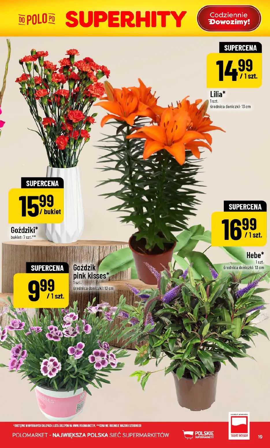 gazetka promocyjna POLOmarket Do POLO po promki w rozmiarze XXL i dziczyznę - Strona 19