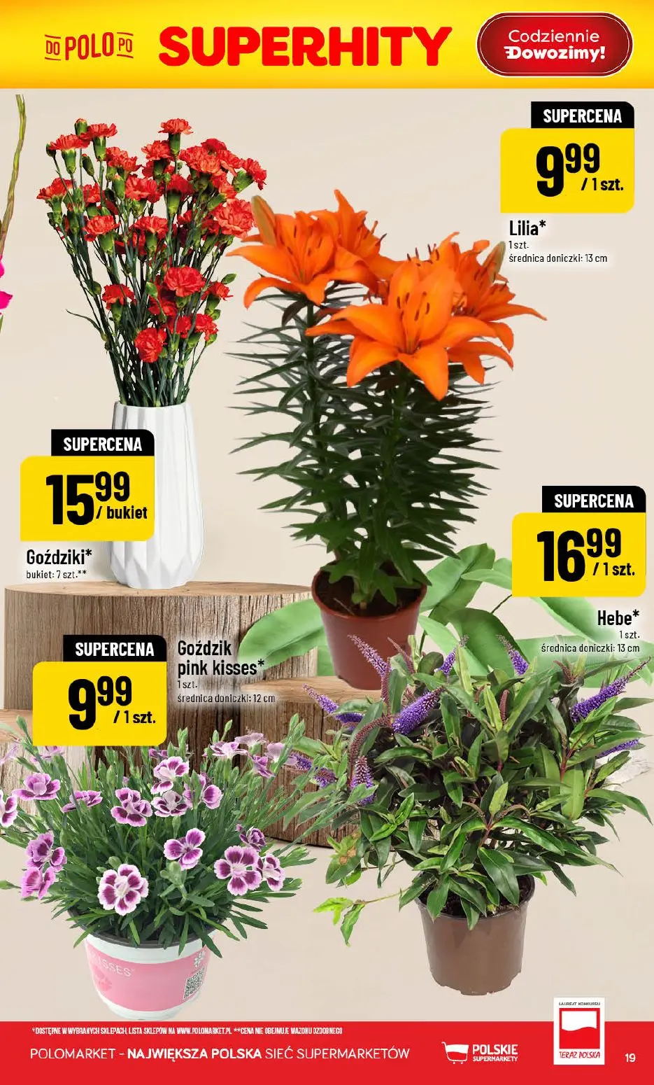 gazetka promocyjna POLOmarket Do POLO po promki w rozmiarze XXL - Strona 19