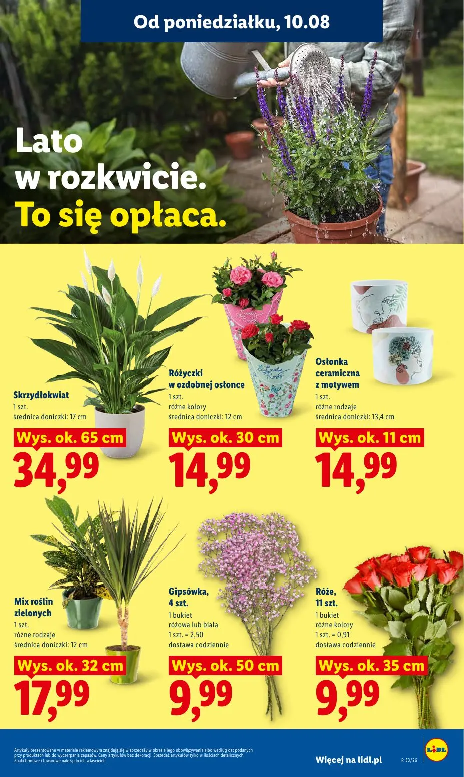 gazetka promocyjna LIDL Od poniedziałku - Strona 93