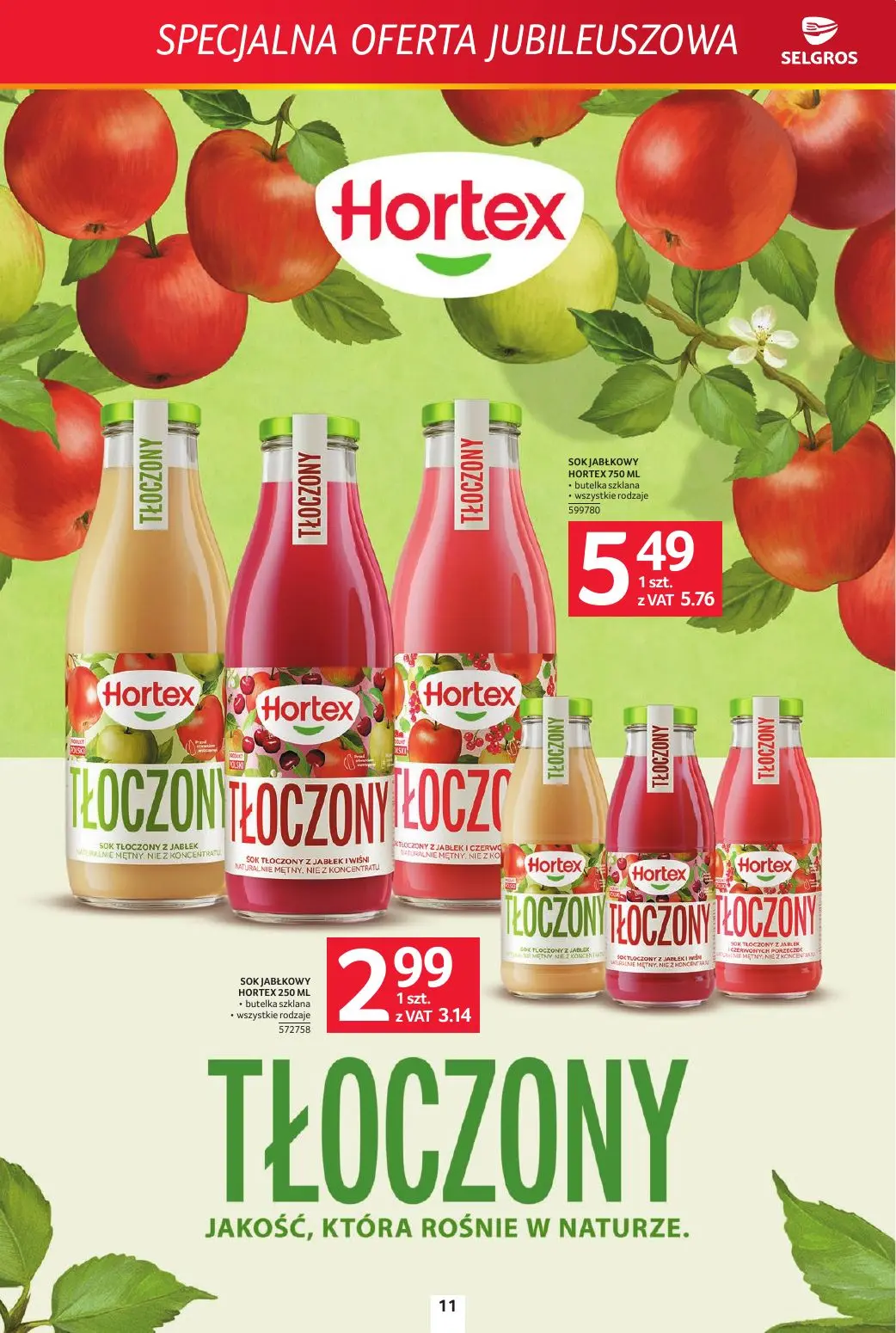 gazetka promocyjna SELGROS Specjalna Oferta Jubileuszowa - Strona 11