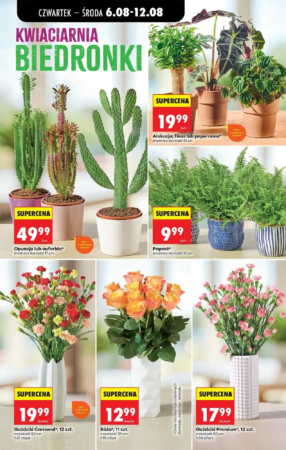 gazetka promocyjna Biedronka Od czwartku - Strona 31