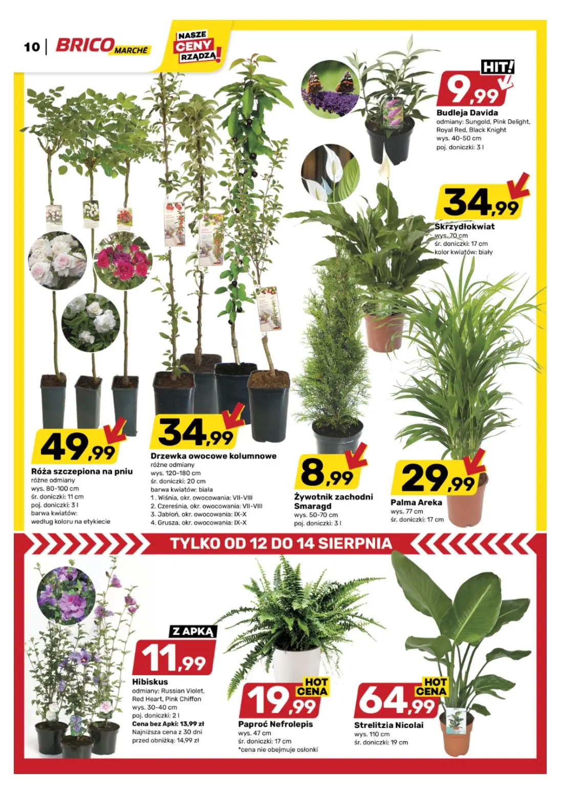 gazetka promocyjna BRICOMARCHE Nasze ceny rządzą - Strona 11