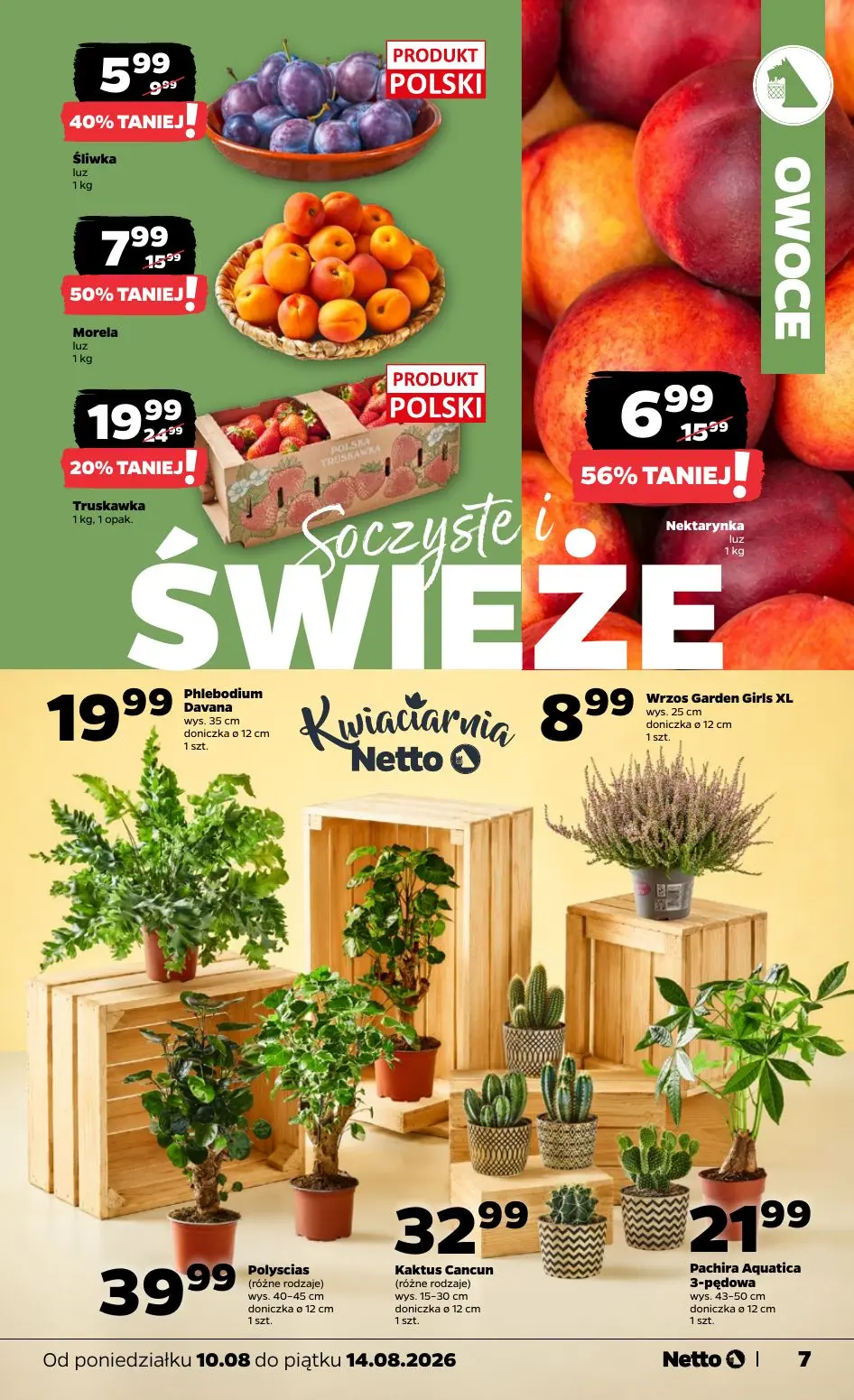 gazetka promocyjna NETTO Gazetka spożywcza - Strona 7