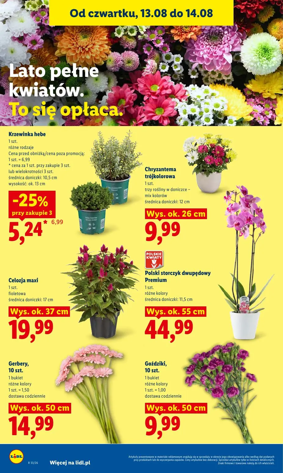 gazetka promocyjna LIDL Od czwartku - Strona 86