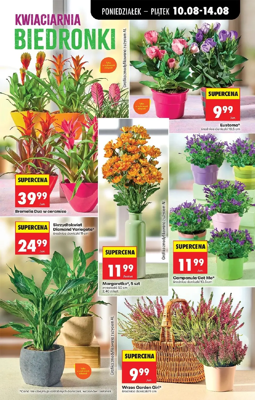 gazetka promocyjna Biedronka Od poniedziałku - Strona 29