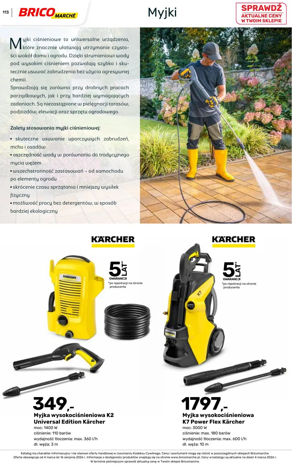 gazetka promocyjna BRICOMARCHE Katalog ogród - Strona 113