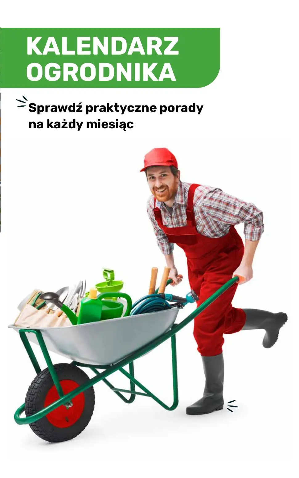 gazetka promocyjna BRICOMARCHE Katalog ogród - Strona 121