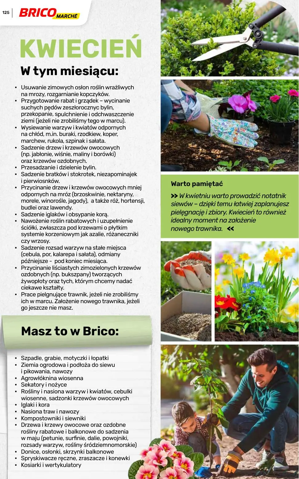 gazetka promocyjna BRICOMARCHE Katalog ogród - Strona 125