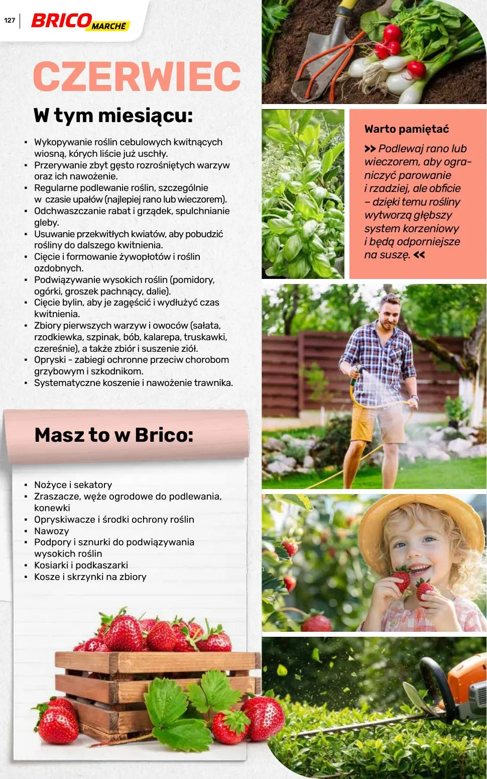 gazetka promocyjna BRICOMARCHE Katalog ogród - Strona 127