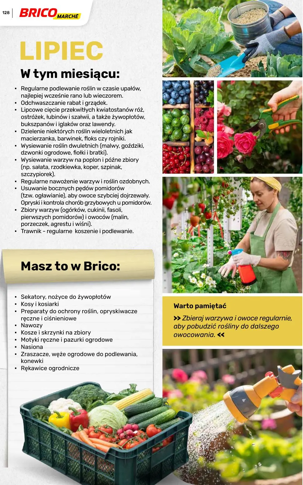gazetka promocyjna BRICOMARCHE Katalog ogród - Strona 128