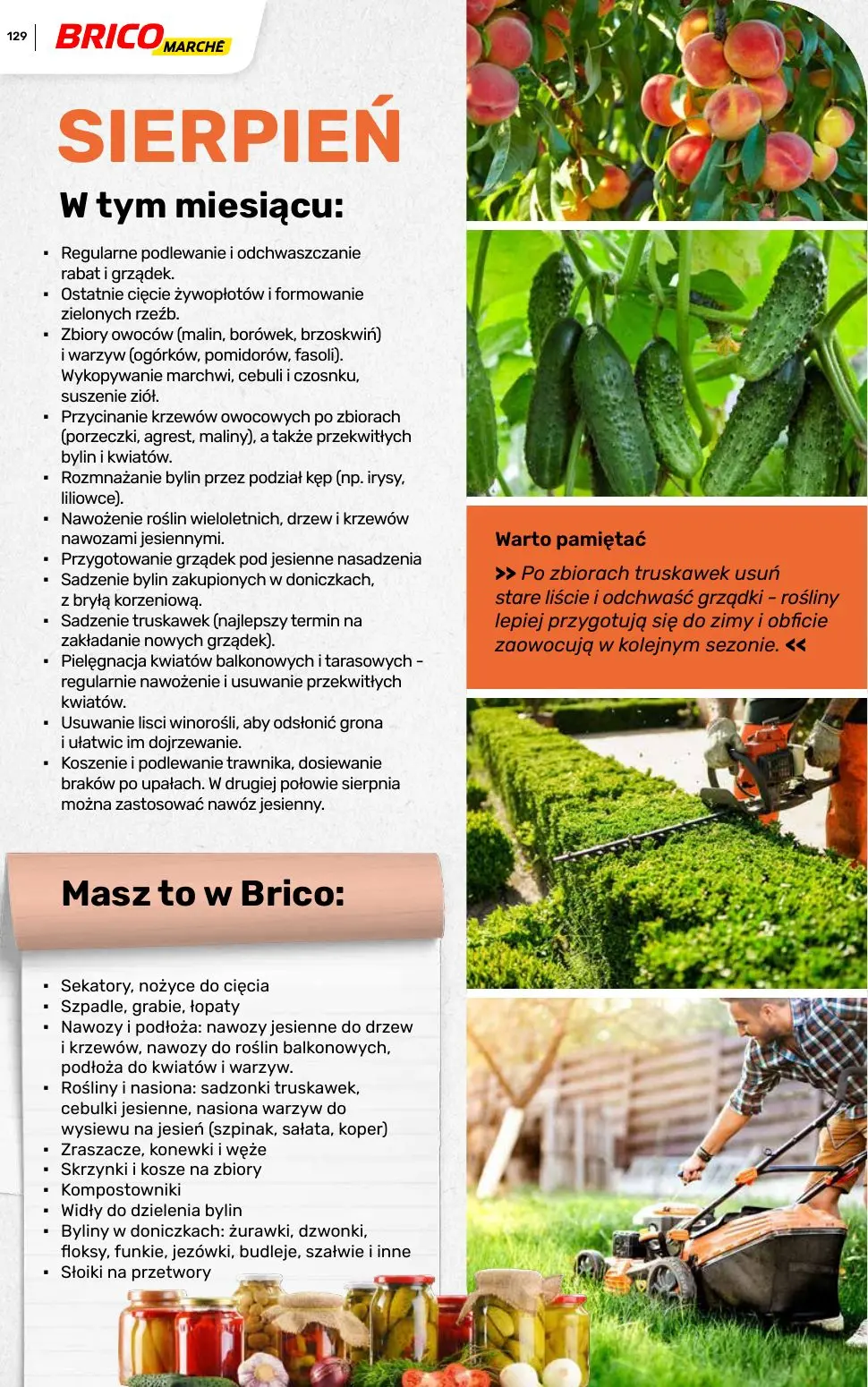 gazetka promocyjna BRICOMARCHE Katalog ogród - Strona 129