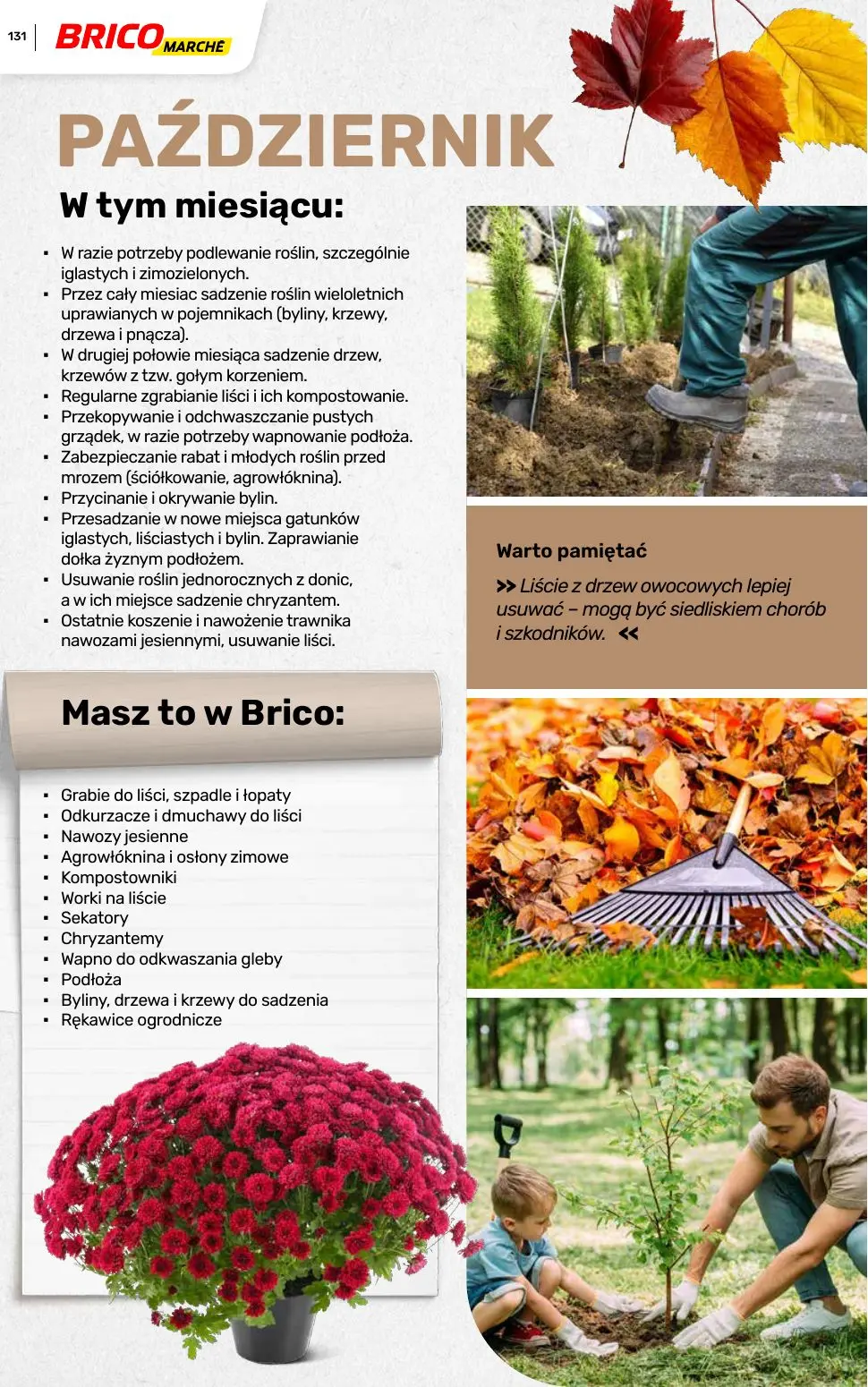 gazetka promocyjna BRICOMARCHE Katalog ogród - Strona 131