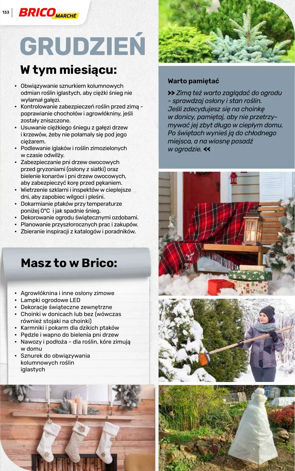 gazetka promocyjna BRICOMARCHE Katalog ogród - Strona 133