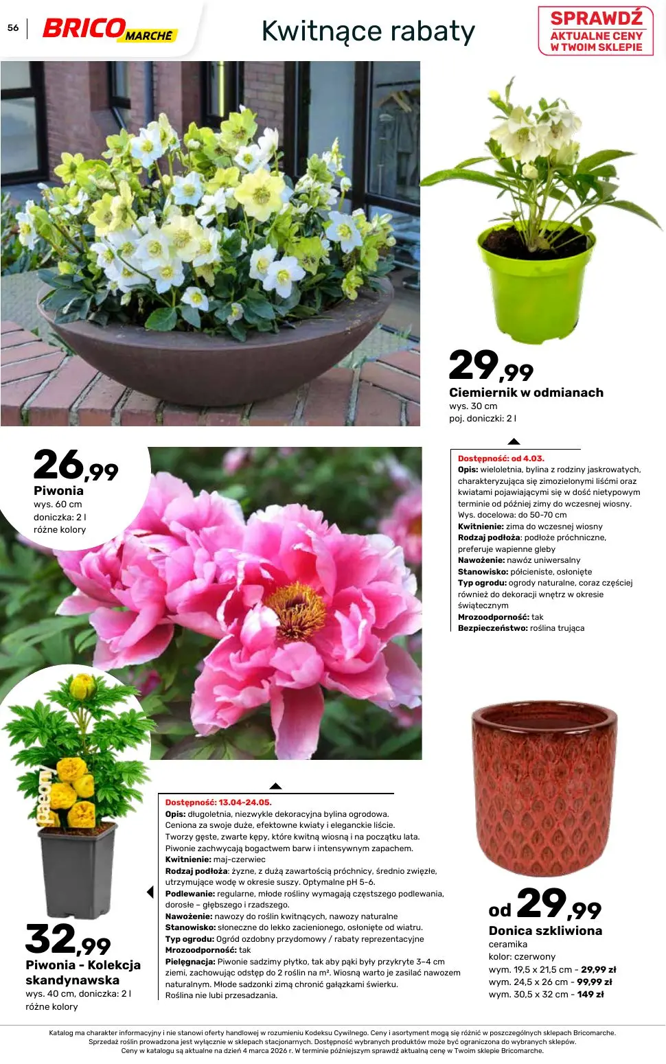 gazetka promocyjna BRICOMARCHE Katalog ogród - Strona 56