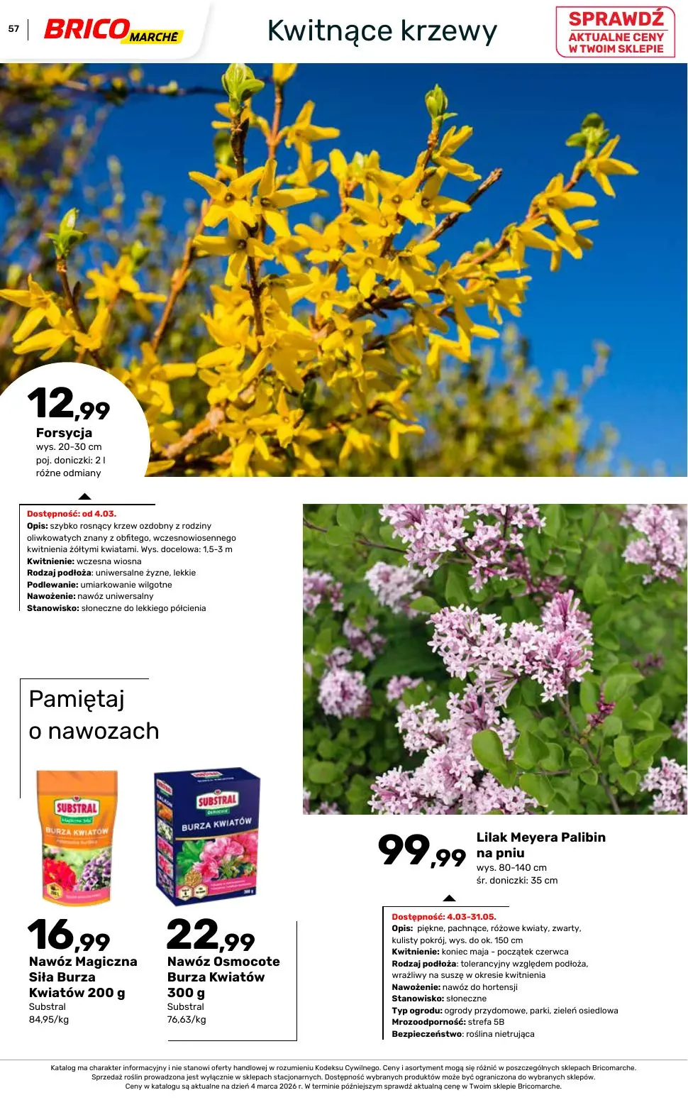 gazetka promocyjna BRICOMARCHE Katalog ogród - Strona 57