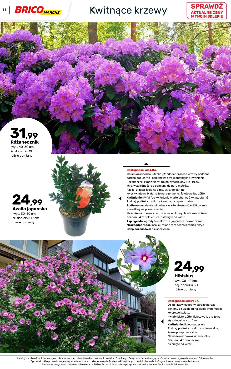 gazetka promocyjna BRICOMARCHE Katalog ogród - Strona 58