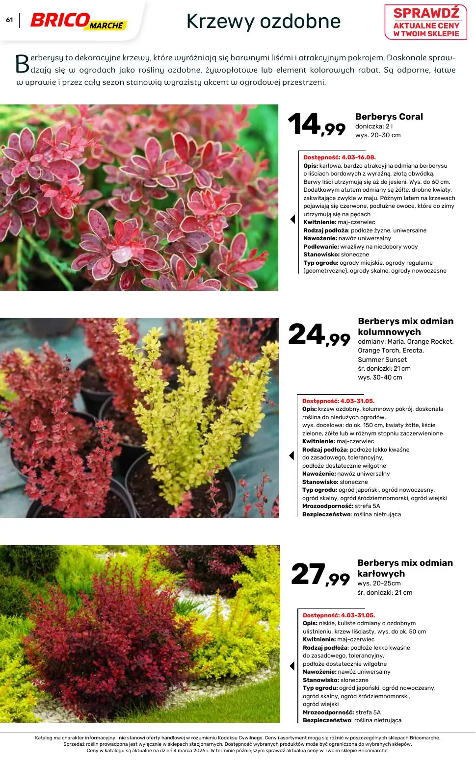 gazetka promocyjna BRICOMARCHE Katalog ogród - Strona 61