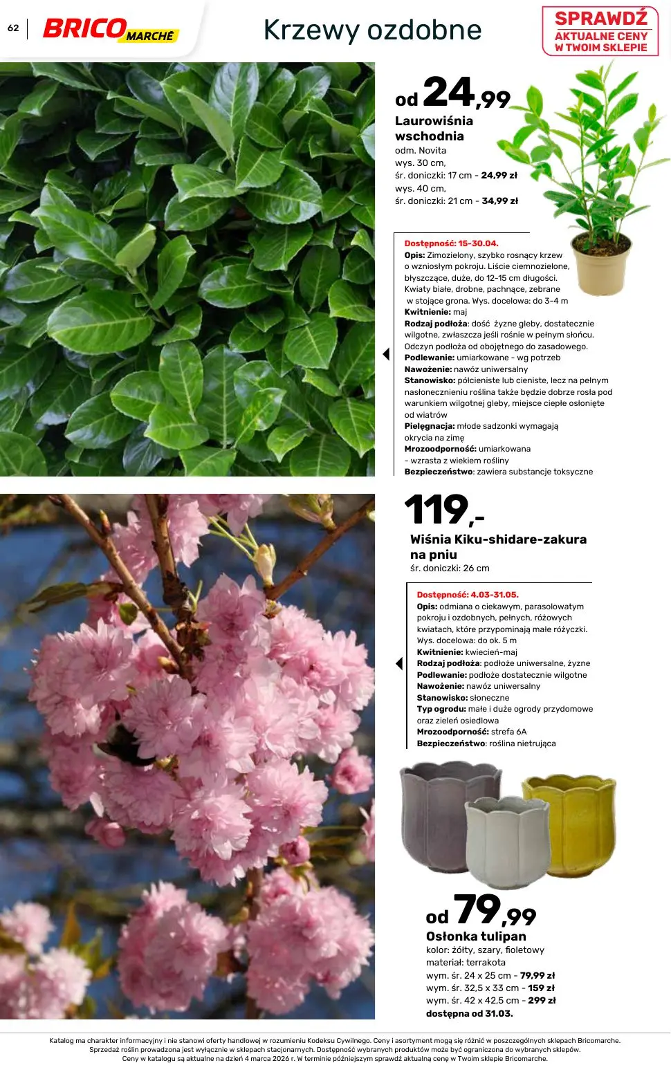 gazetka promocyjna BRICOMARCHE Katalog ogród - Strona 62