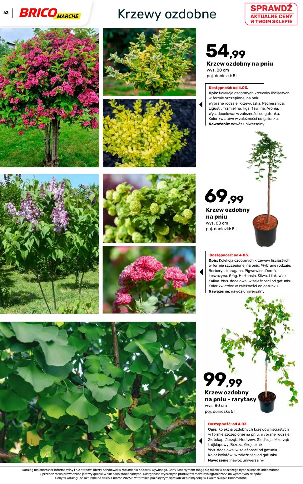 gazetka promocyjna BRICOMARCHE Katalog ogród - Strona 63