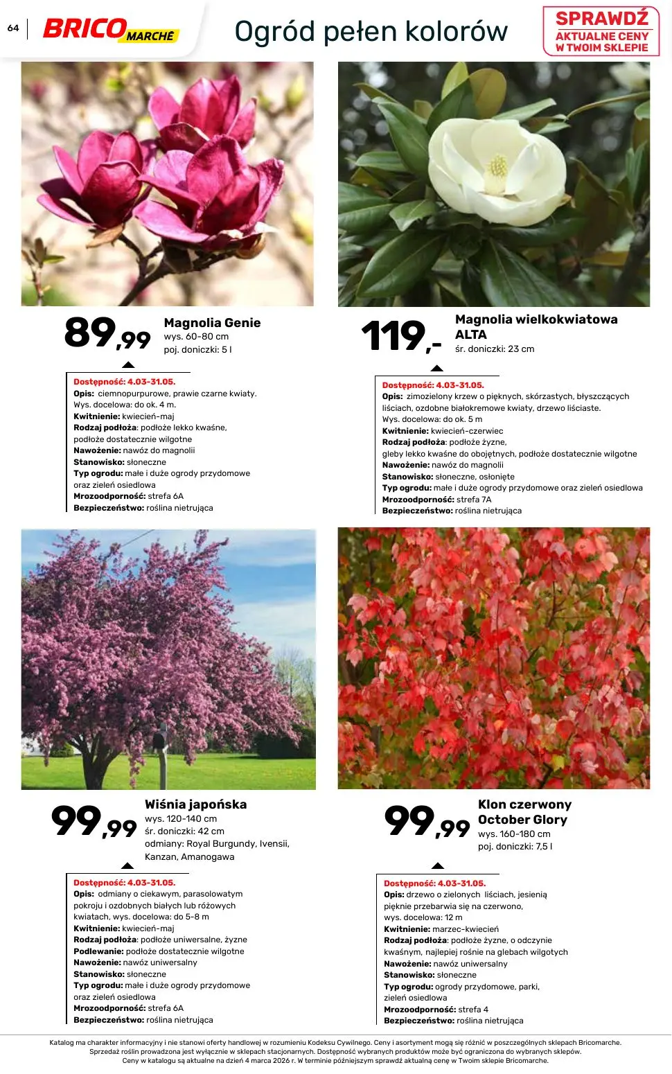 gazetka promocyjna BRICOMARCHE Katalog ogród - Strona 64