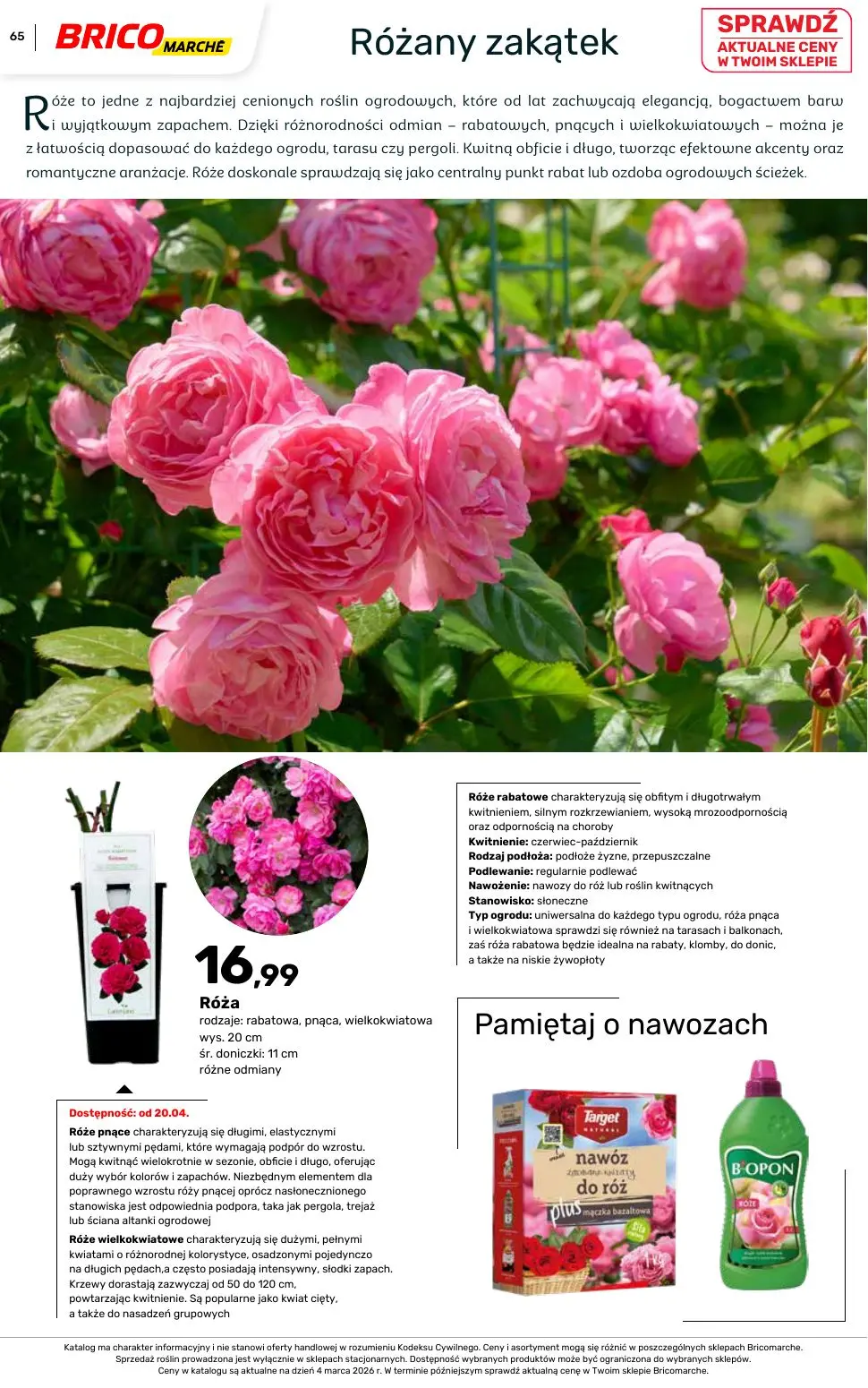 gazetka promocyjna BRICOMARCHE Katalog ogród - Strona 65