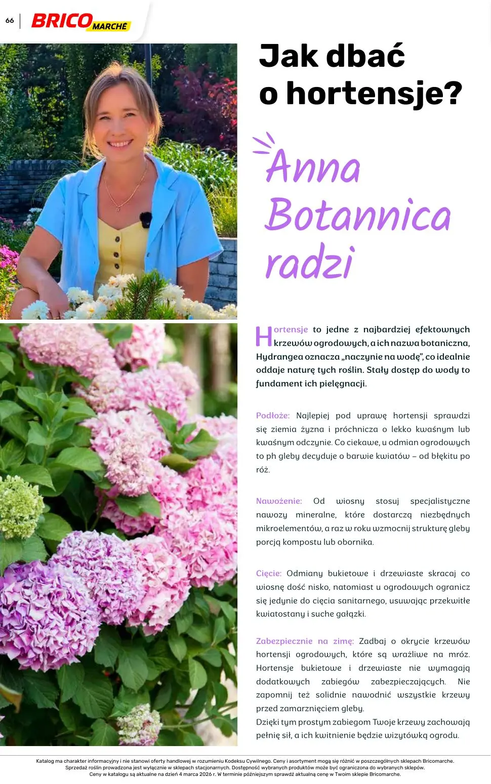 gazetka promocyjna BRICOMARCHE Katalog ogród - Strona 66