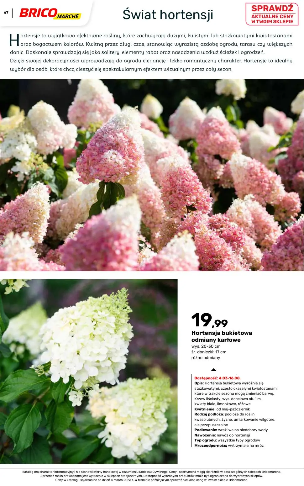 gazetka promocyjna BRICOMARCHE Katalog ogród - Strona 67
