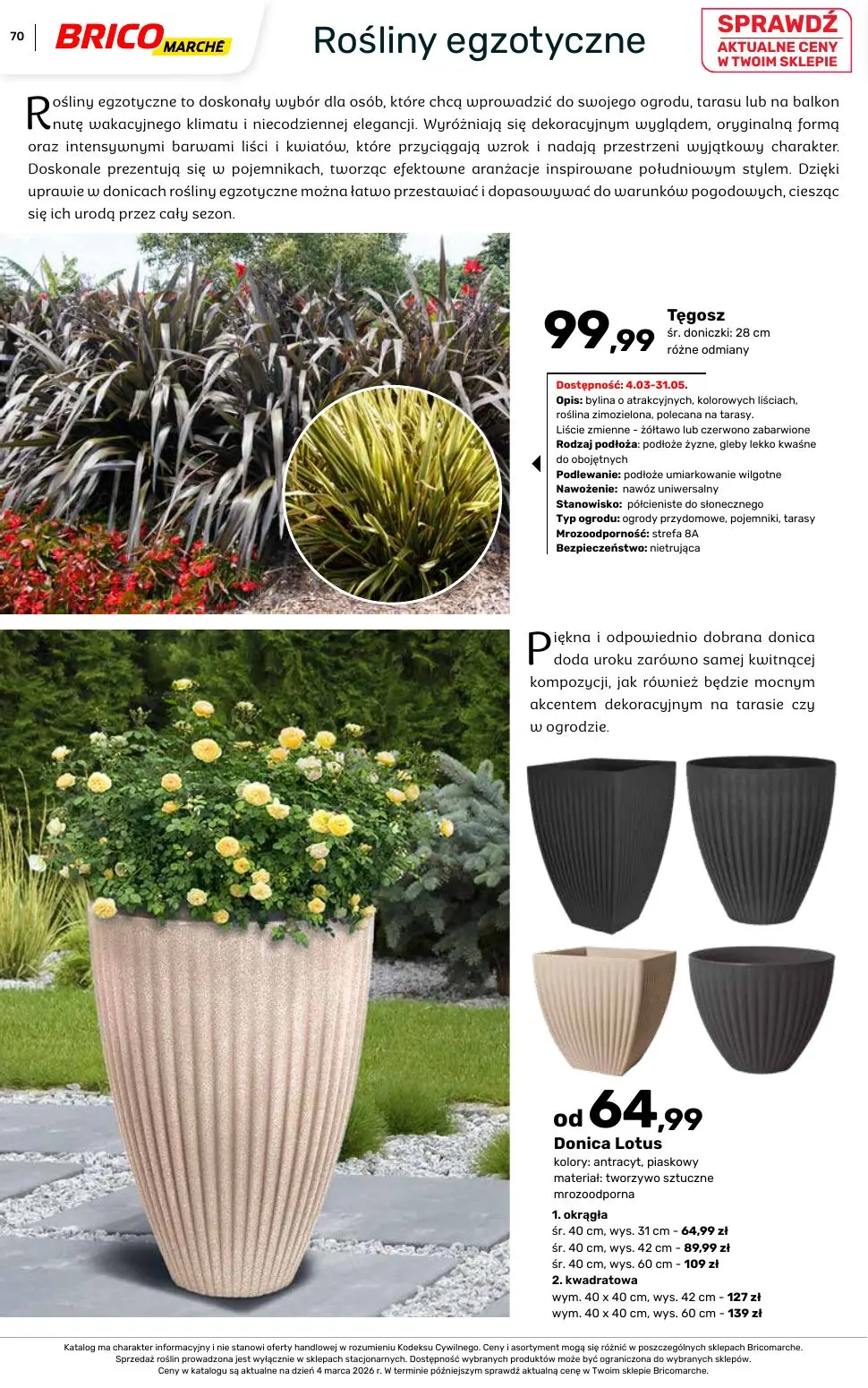 gazetka promocyjna BRICOMARCHE Katalog ogród - Strona 70