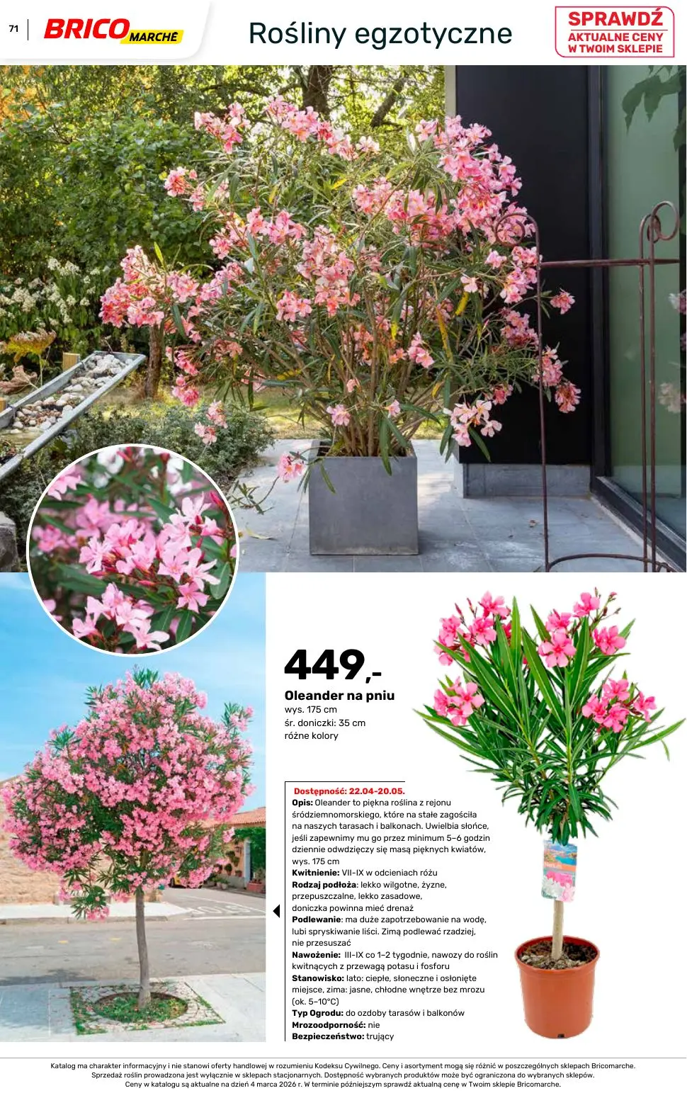 gazetka promocyjna BRICOMARCHE Katalog ogród - Strona 71