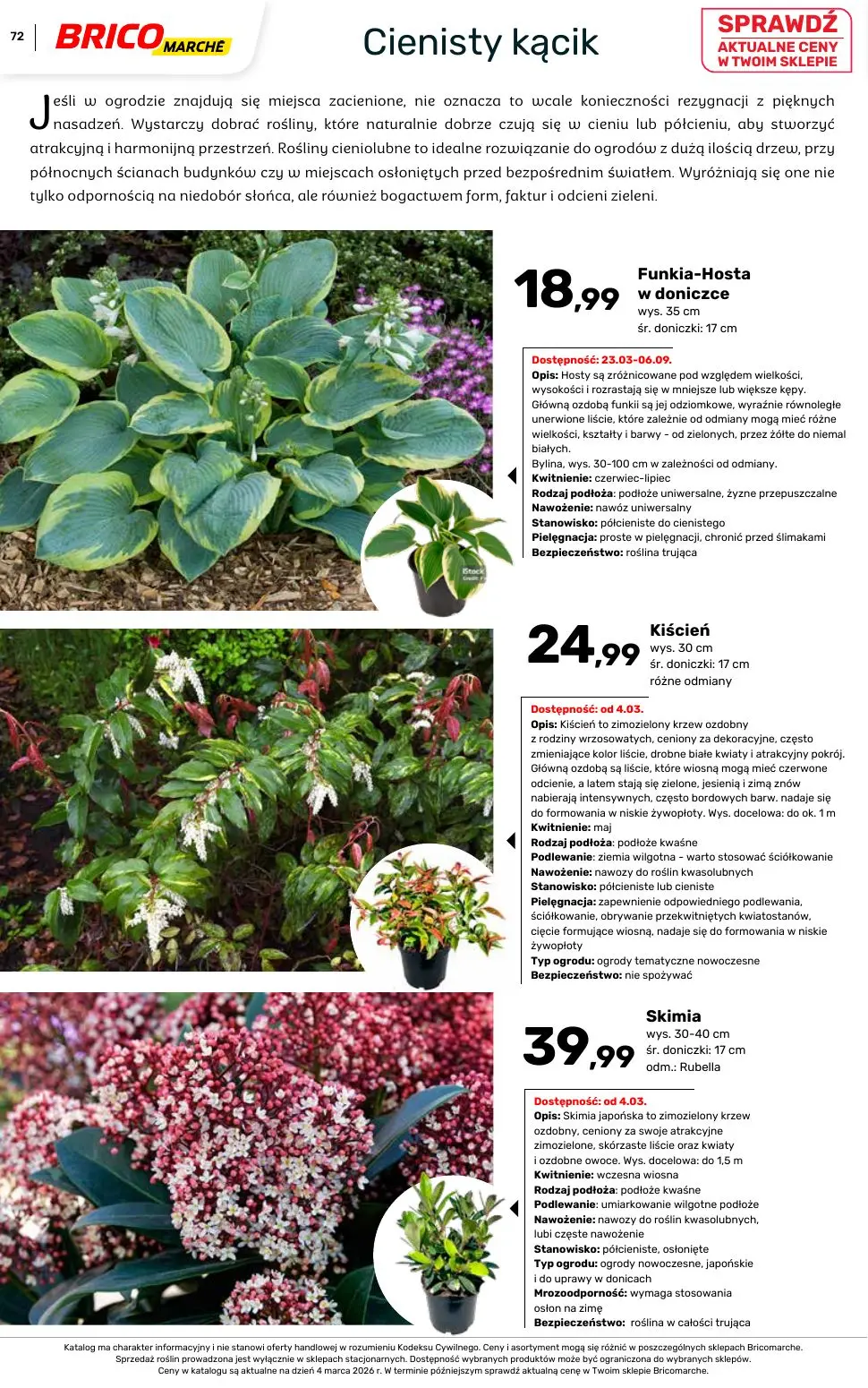 gazetka promocyjna BRICOMARCHE Katalog ogród - Strona 72