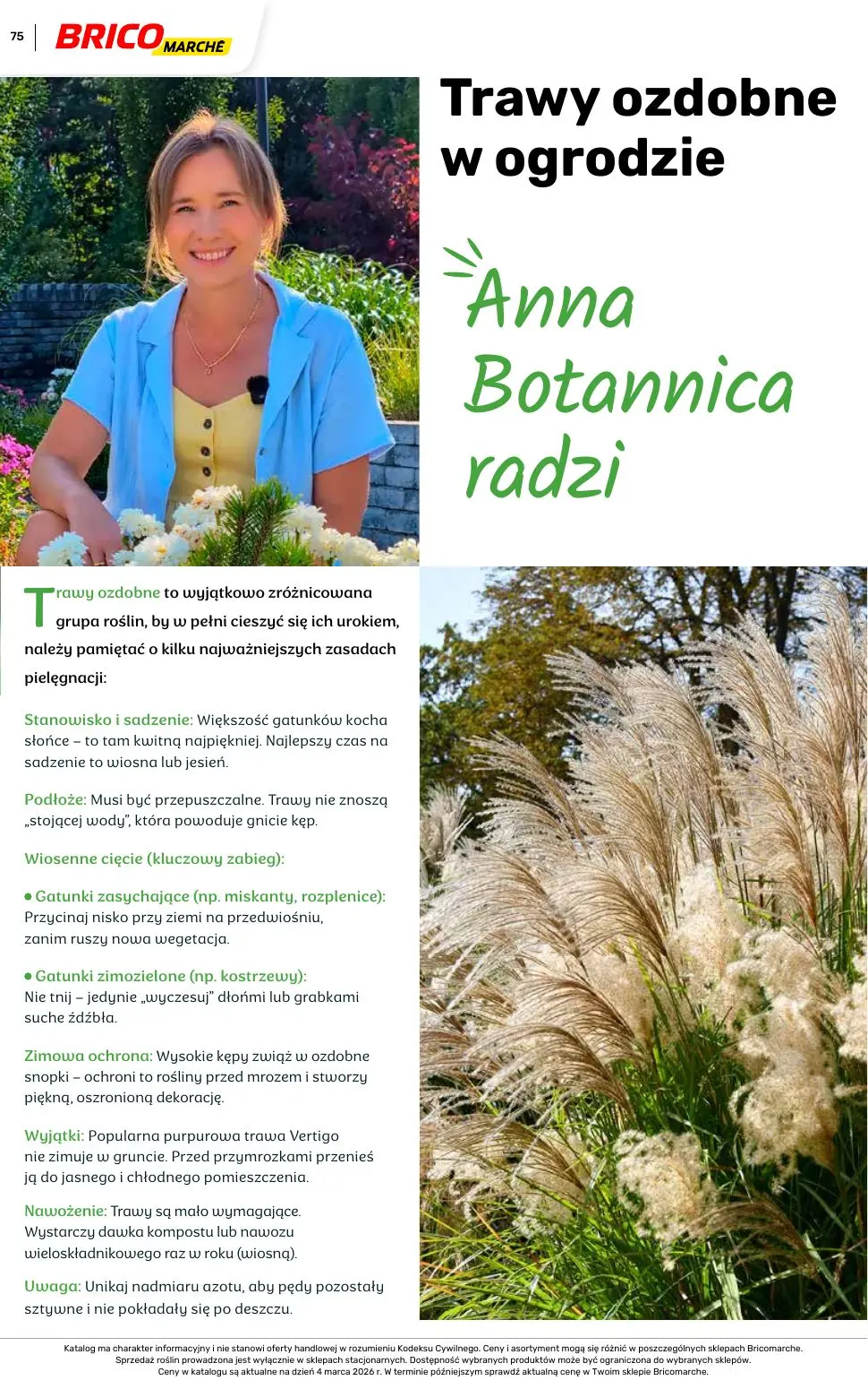 gazetka promocyjna BRICOMARCHE Katalog ogród - Strona 75