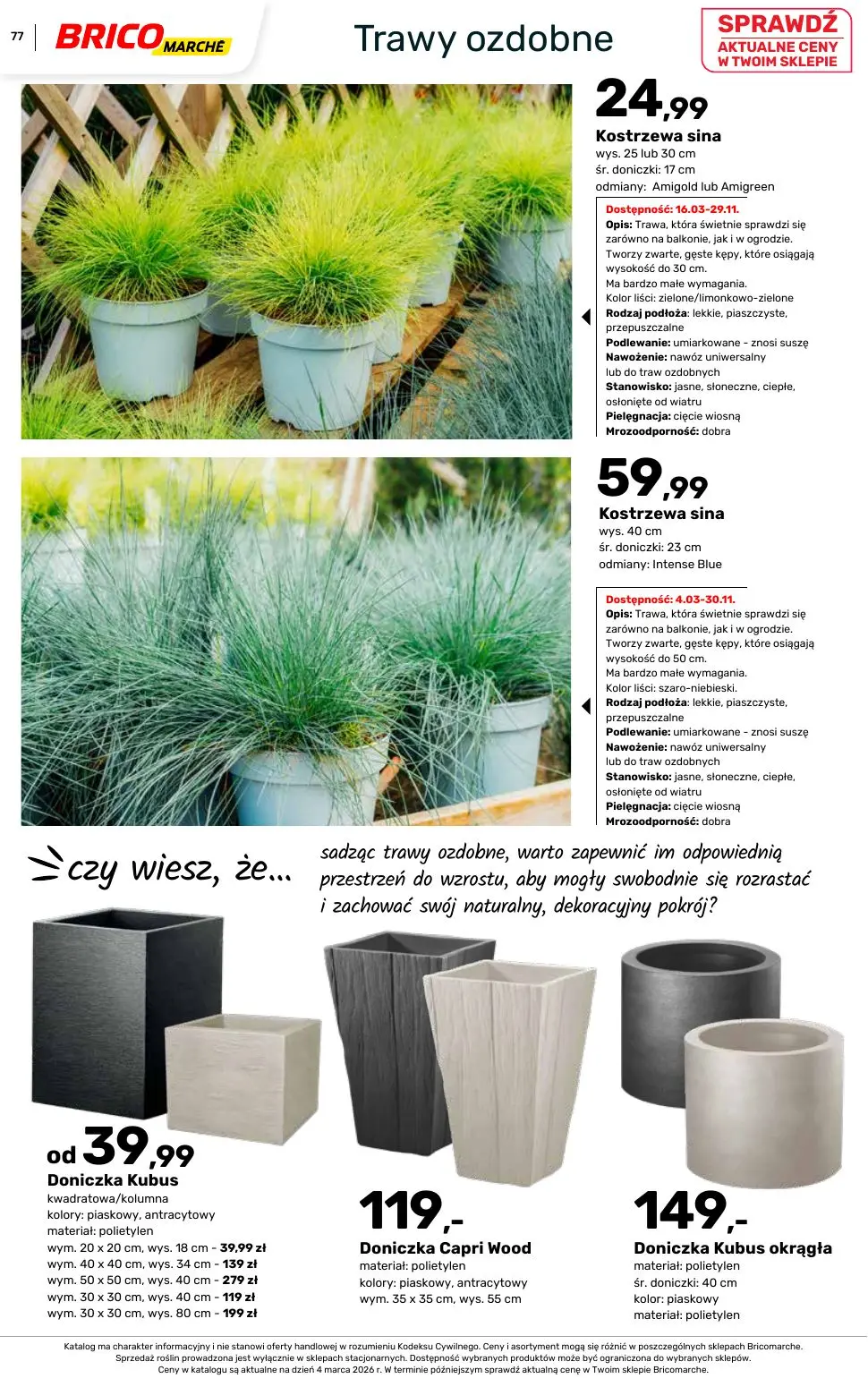 gazetka promocyjna BRICOMARCHE Katalog ogród - Strona 77