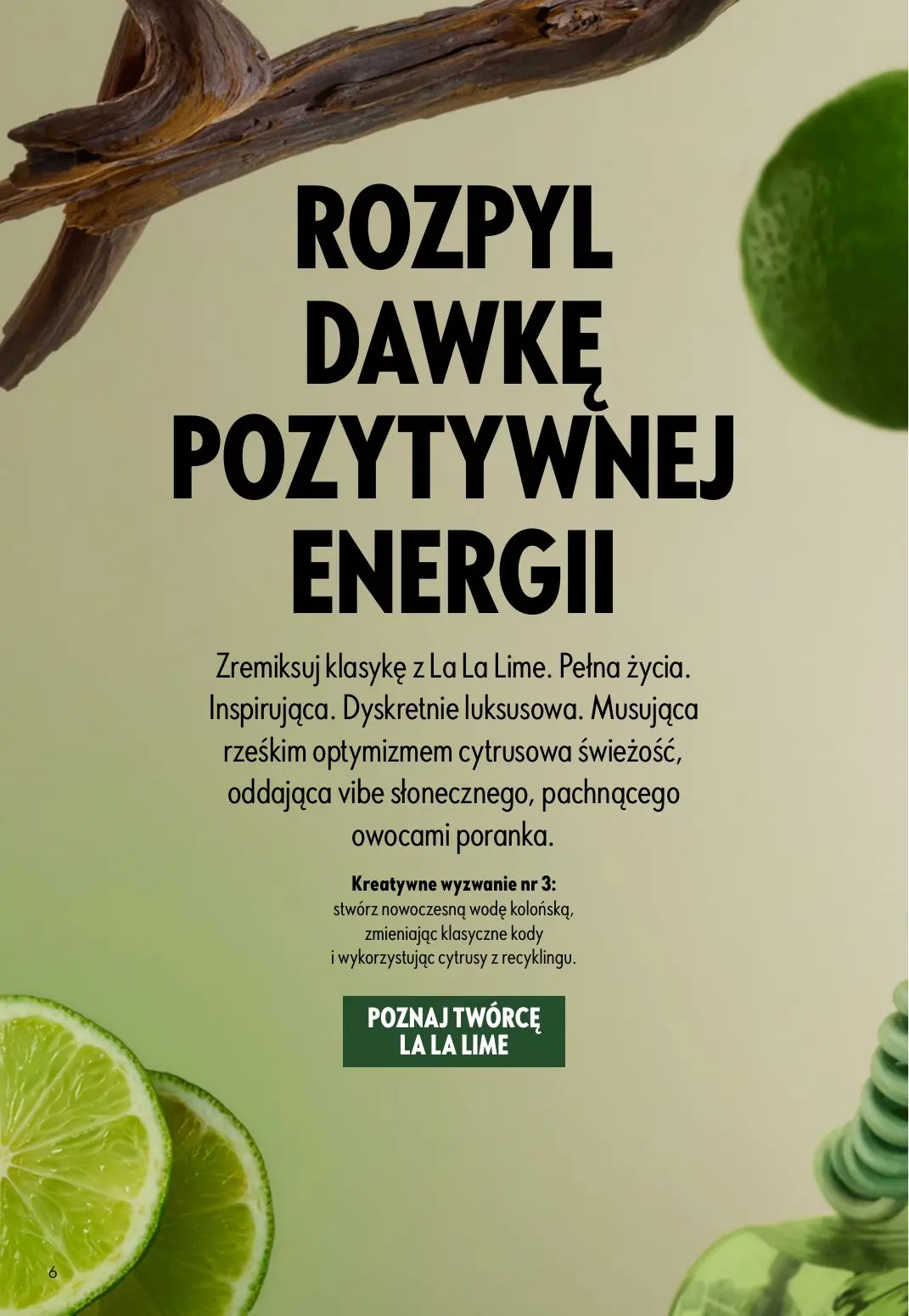 gazetka promocyjna ORIFLAME  - Strona 6