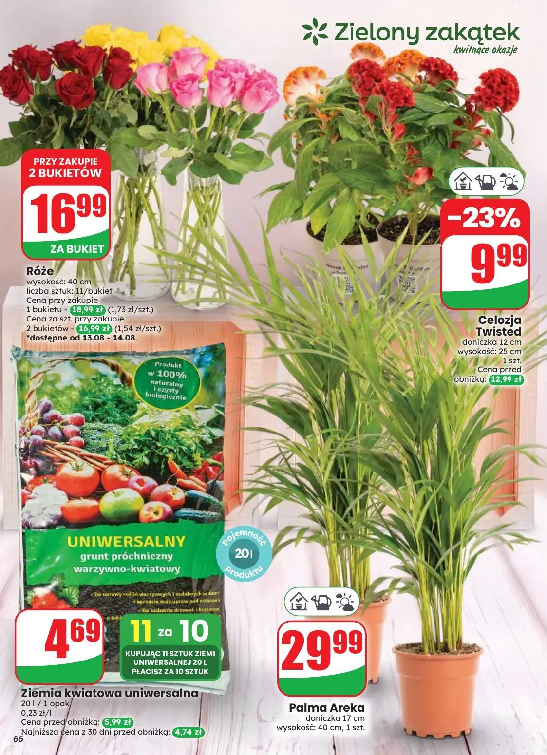 gazetka promocyjna dino Najbliżej Ciebie - Strona 66