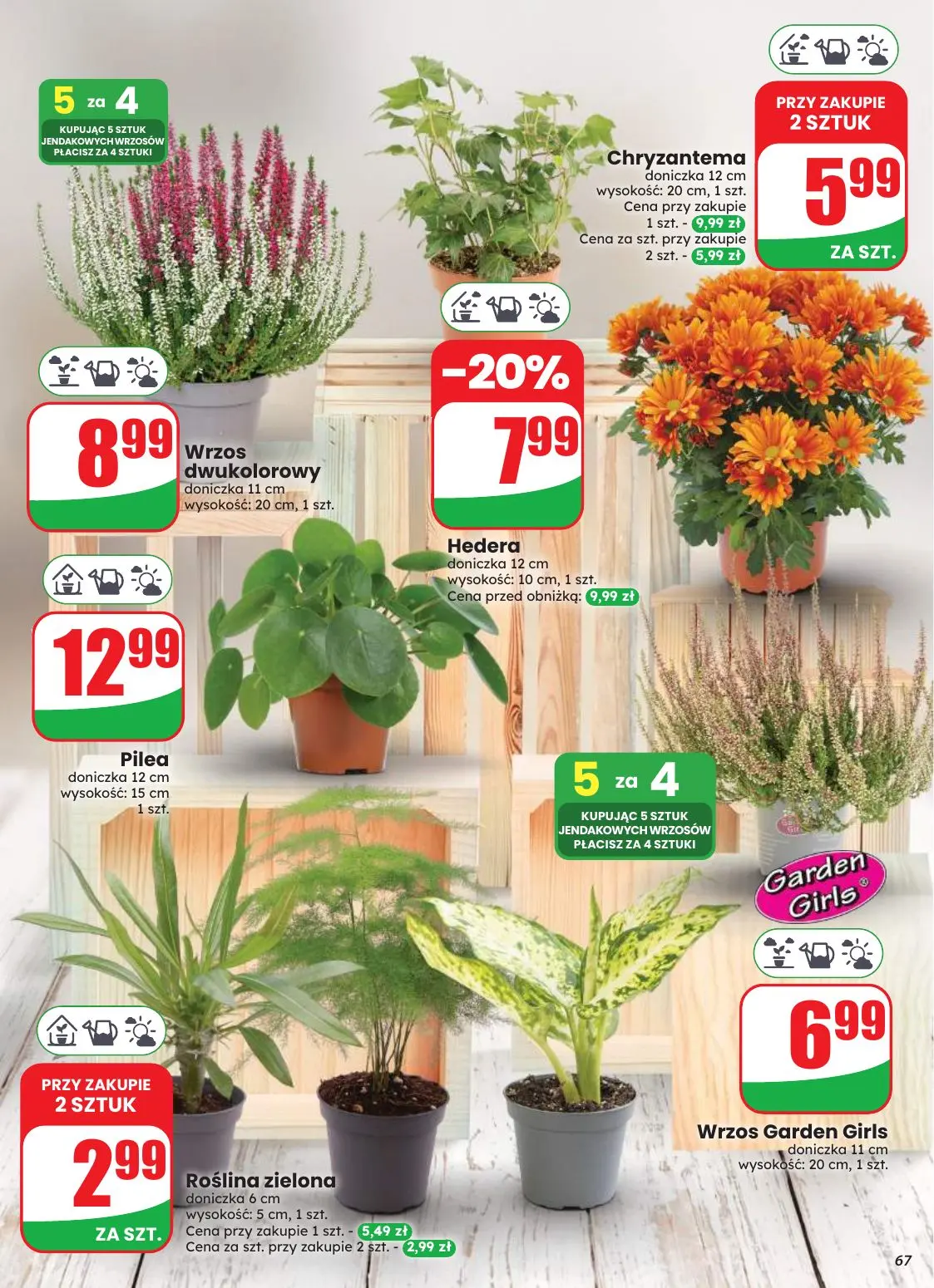 gazetka promocyjna dino Najbliżej Ciebie - Strona 67