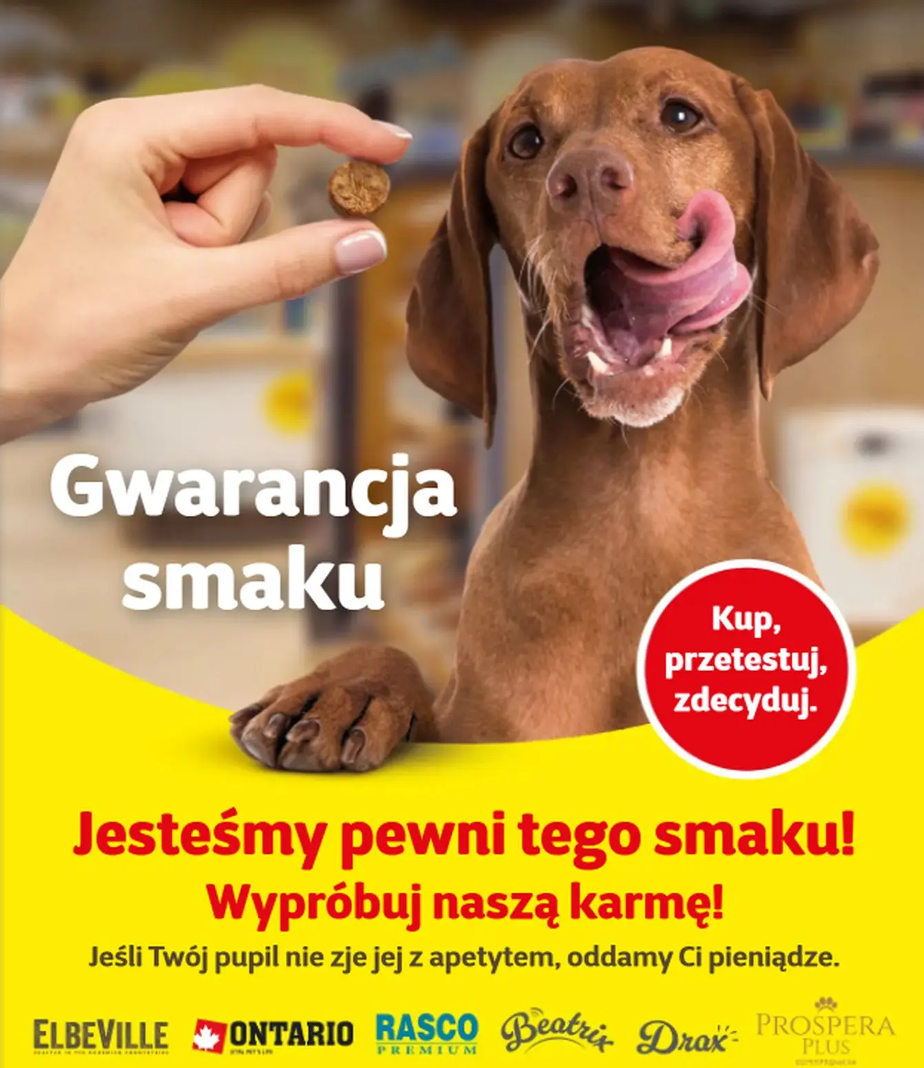 gazetka promocyjna Kakadu  - Strona 7