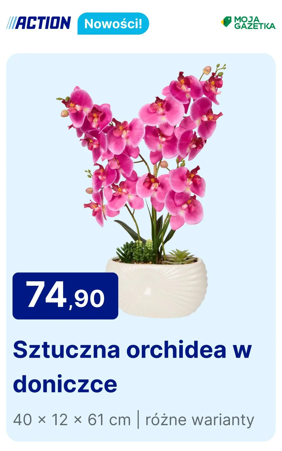 gazetka promocyjna Action Nowości w Action - Strona 3