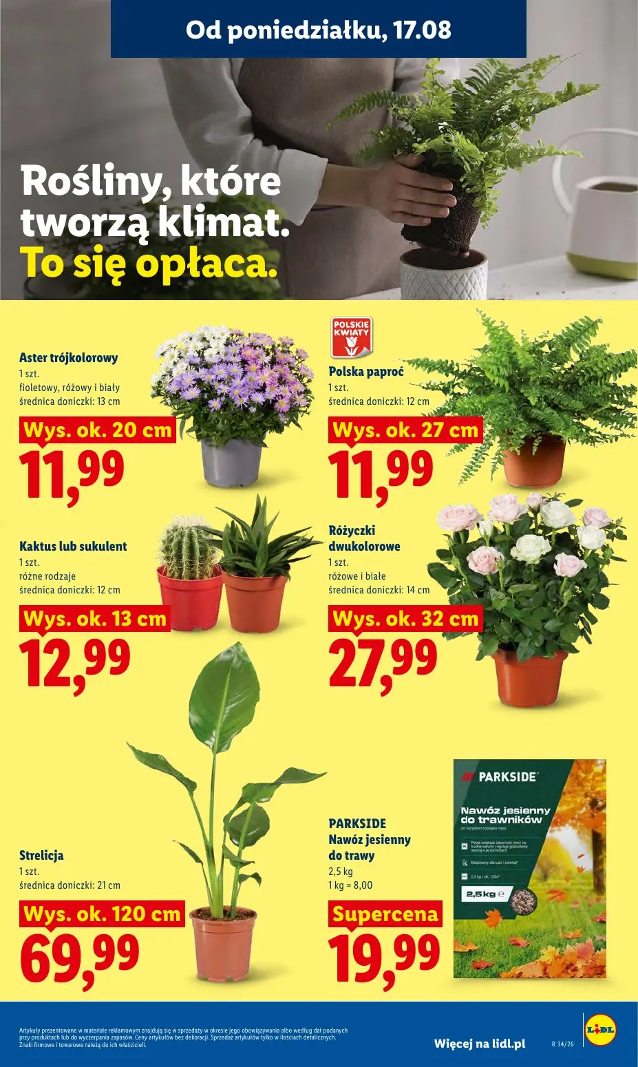 gazetka promocyjna LIDL Od poniedziałku - Strona 77